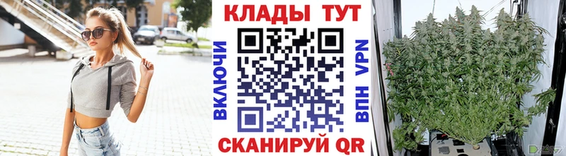 Купить закладку ГАШ  Канабис  СК  Меф мяу мяу  Новохопёрск