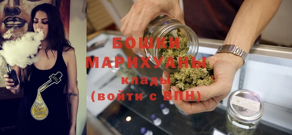 ГАЛЛЮЦИНОГЕННЫЕ ГРИБЫ Горняк