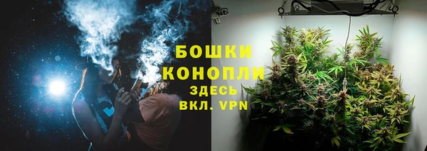 ГАЛЛЮЦИНОГЕННЫЕ ГРИБЫ Горняк