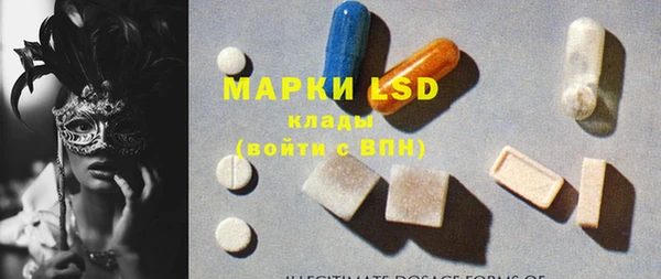 ГАЛЛЮЦИНОГЕННЫЕ ГРИБЫ Горняк